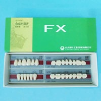 山八 FX增强型复合树脂牙（全口）28颗/盒 SS4A2