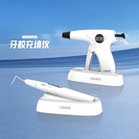 宇森/COXO  牙胶充填仪C-FILI MINI（充填笔+充填仪）