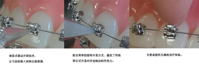 普特 五代C.webp