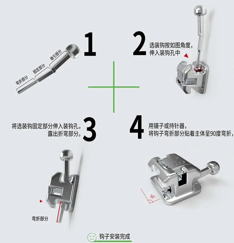 普特 五代 d.webp