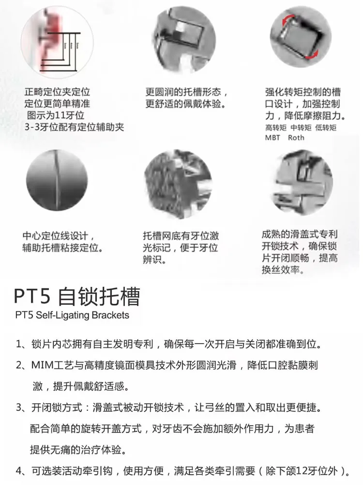 普特.webp