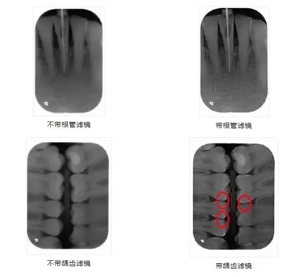 迪尔牙片宝1-10.webp