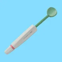 登士柏 瓷纳美美学修复树脂牙本质色D4色
