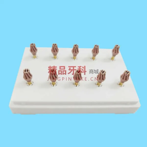 德国EVE 硅树脂抛光磨头粉色DCP-OFm 6175（10个/盒）