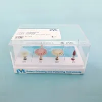 德国EVE 与时俱进树脂抛光磨头套装
