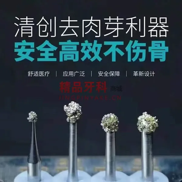 西泰克 清创去肉芽金刚砂车针