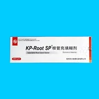 凯文彼德 KP-Root SP根充糊剂2g/支