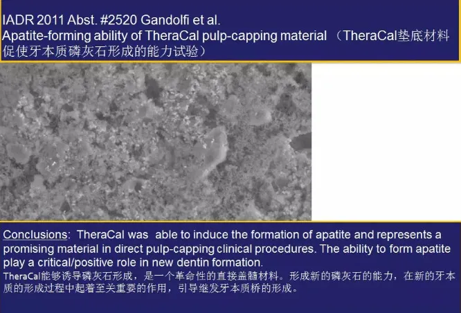 LC-2.webp