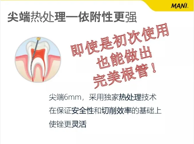 4.webp