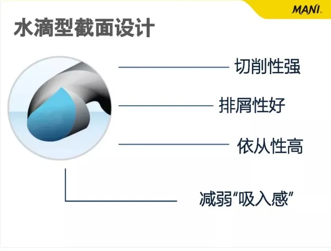 5.webp