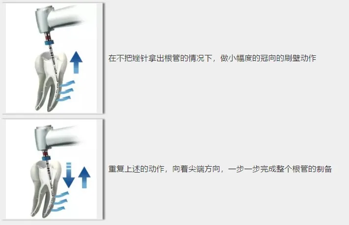 5.webp 5.webp