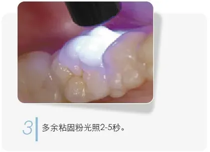 image.webp image.webp