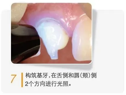 206.webp 206.webp