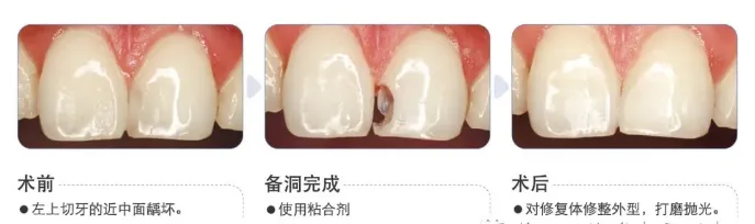 image.webp image.webp