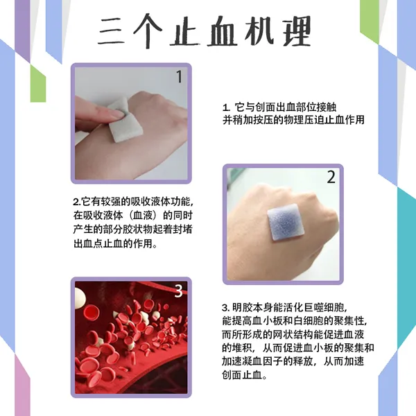 海绵说明1.webp