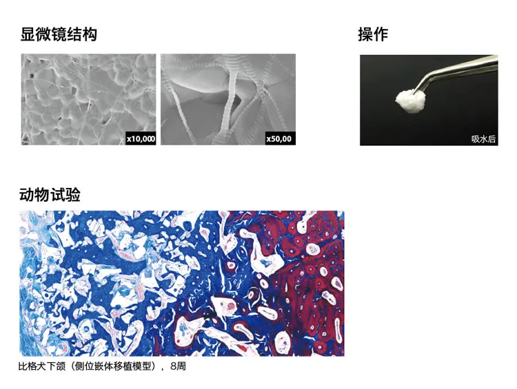 登腾骨胶原.webp