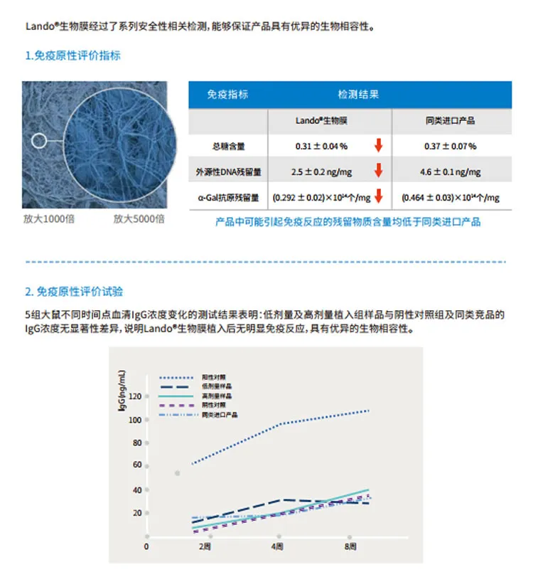 兰度 骨膜1_r4_c1.webp