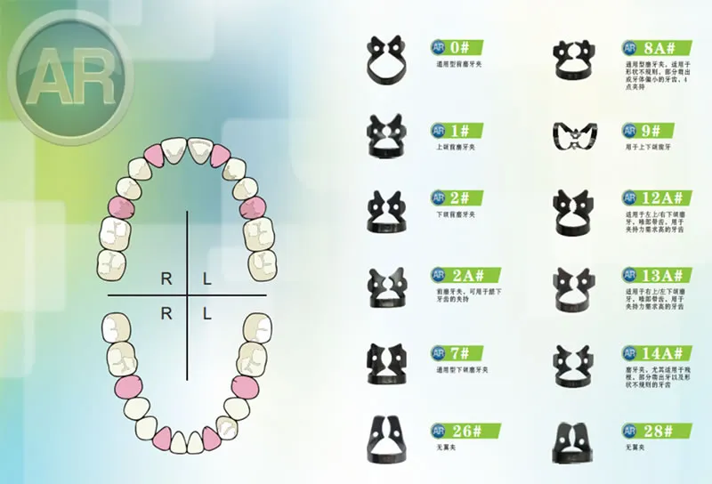 ar 橡皮障2.webp