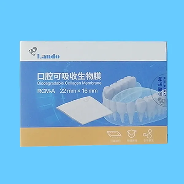 兰度 骨膜.webp