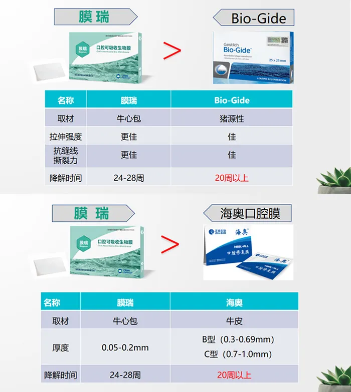 膜瑞 生物膜骨膜2.webp 膜瑞 生物膜骨膜2.webp