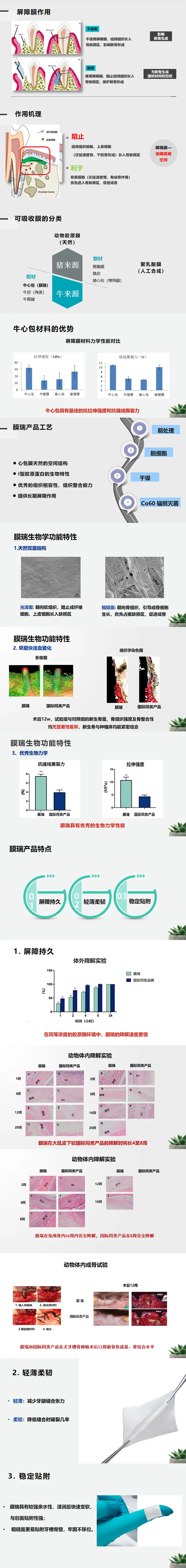 膜瑞 生物膜骨膜.webp