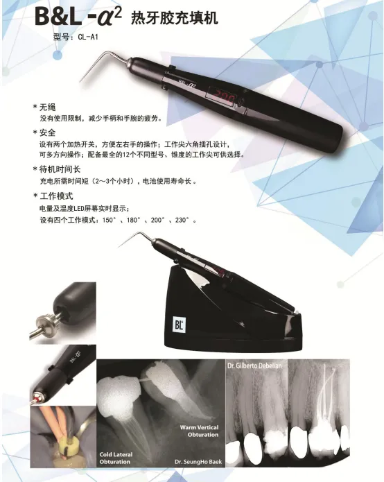 BL  热牙胶充填系统