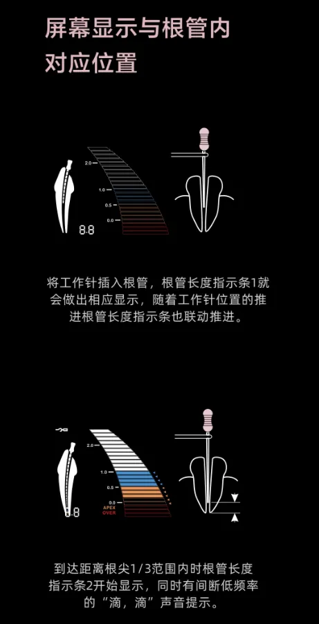 1734662661572.webp