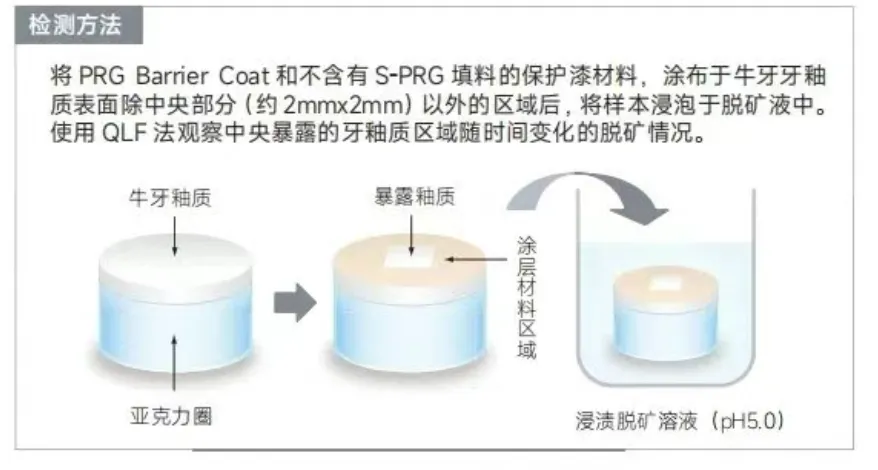 image.webp image.webp