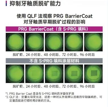 image.webp image.webp