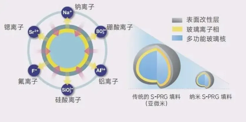 image.webp image.webp