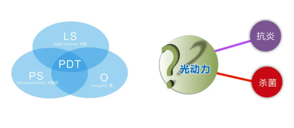 ff30b628-4e53-46db-bee2-03ab7b089e49.webp