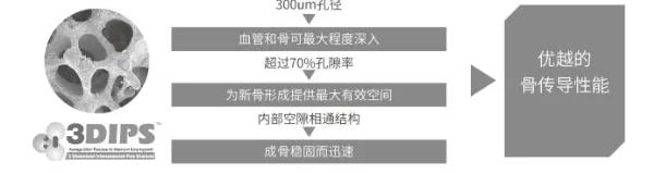 image.webp image.webp