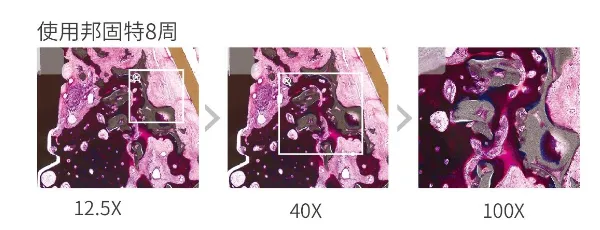 image.webp image.webp