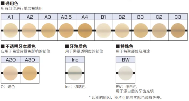 image.webp image.webp