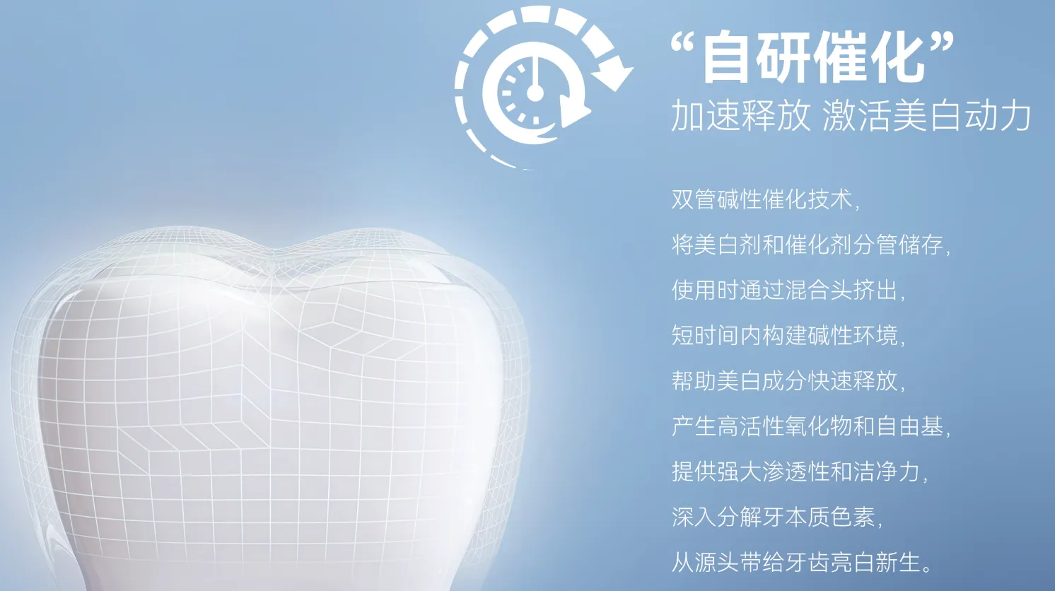 image.webp image.webp